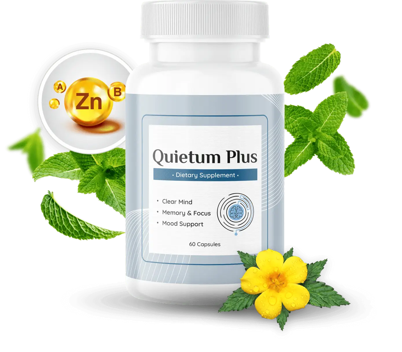 Quietum Plus hearing support supplement bottle on a clean background
